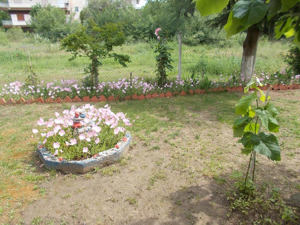 Drosia Apartments Аспровальта Экстерьер фото
